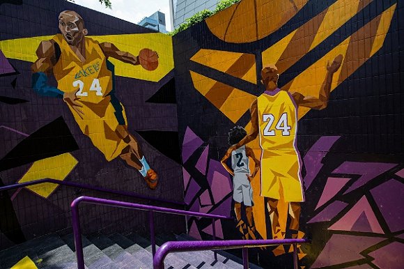 一拍组织 一拍组织